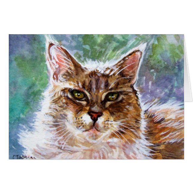 Scintillent le chat (Devant horizontal)