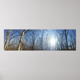 Scioto Grove Metro Park, Grove City, Ohio Poster