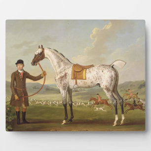 Scipio, Colonel Roche's Spotted Hunter, c.1750 (oi Fotoplaat