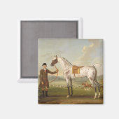 Scipio, Colonel Roche's Spotted Hunter, c.1750 (oi Magneet (Voorkant / Achterkant)