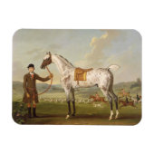Scipio, Colonel Roche's Spotted Hunter, c.1750 (oi Magneet (Horizontaal)