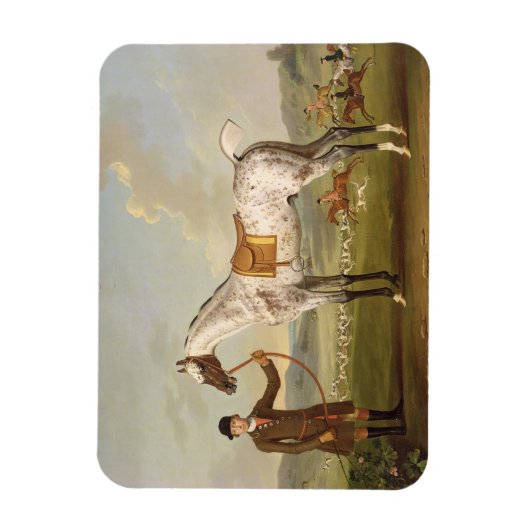Scipio, Colonel Roche's Spotted Hunter, c.1750 (oi Magneet (Verticaal)