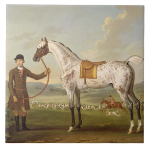 Scipio, Colonel Roche's Spotted Hunter, c.1750 (oi Tegeltje
