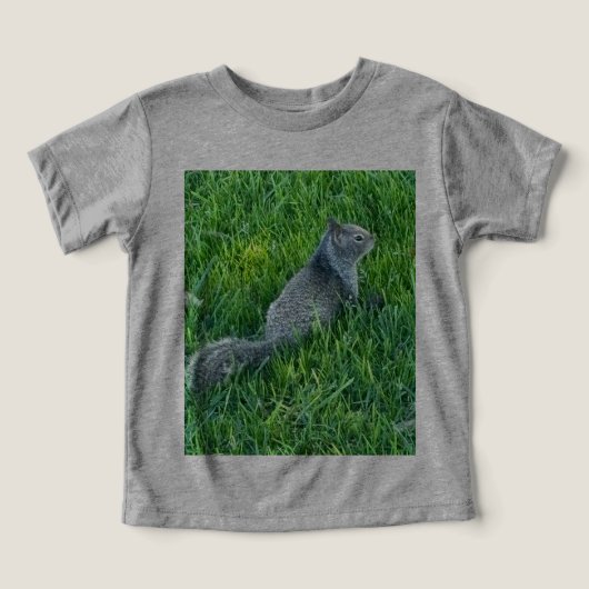 Sciuniri gris (écureuil) sur (Design Recto)