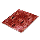 Sclerenchyma-cellen uit een Cherry Pit Tegeltje (Zijkant)