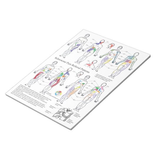 Sclérotome Douleur aiguillage Documents Bloc-notes (Incliné)