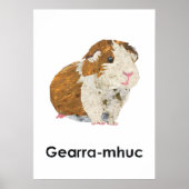 Sco - Poster Gearra-mhuc (Devant)