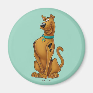 Scooby-Doo Airpenseel Pose Magneet