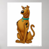 Scooby-Doo Airpenseel Pose Poster (Voorkant)