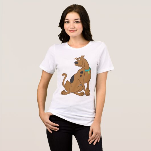 Scooby-Doo Bashful Pose Tri-Blend Shirt (Voorkant volledig)