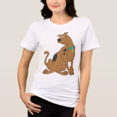 Scooby-Doo Bashful Pose Tri-Blend Shirt (Voorkant)