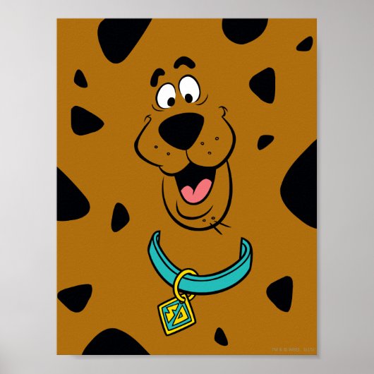 Scooby-Doo Camouflage Poster (Voorkant)