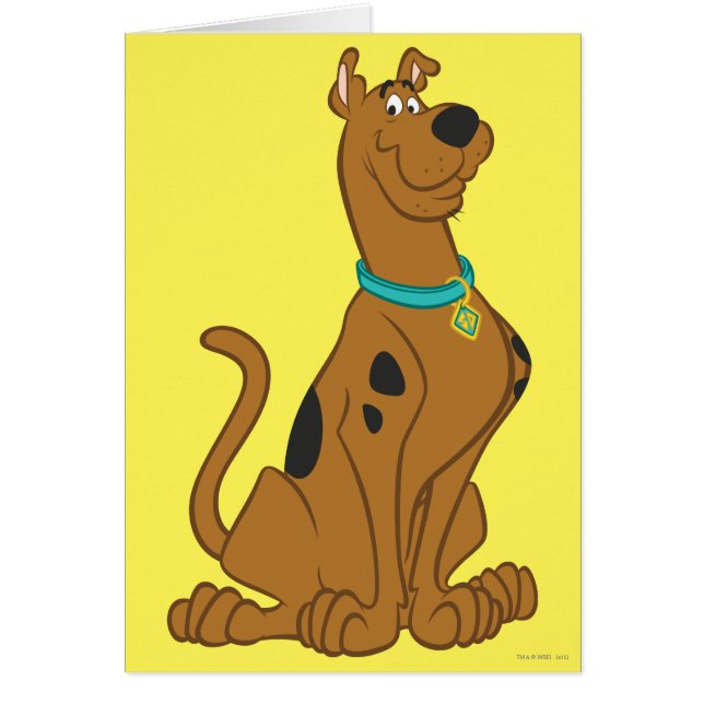 Scooby-Doo Cuter Than Cute (Voorkant)