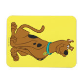 Scooby-Doo Cuter Than Cute Magneet (Horizontaal)