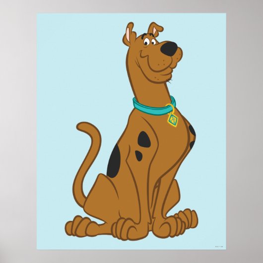 Scooby-Doo Cuter Than Cute Poster (Voorkant)