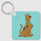 Scooby-Doo Cuter Than Cute Sleutelhanger (Voorkant)