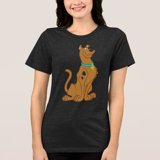 Scooby-Doo Cuter Than Cute Tri-Blend Shirt (Voorkant)