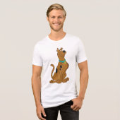 Scooby-Doo Cuter Than Cute Tri-Blend Shirt (Voorkant volledig)
