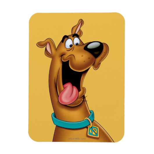 Scooby-Doo Excited Face Magneet (Verticaal)