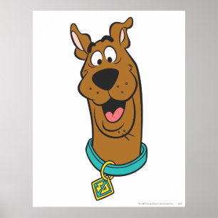 Scooby-Doo glimlachend gezicht Poster