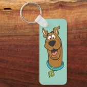 Scooby-Doo glimlachend gezicht Sleutelhanger (Voorkant)