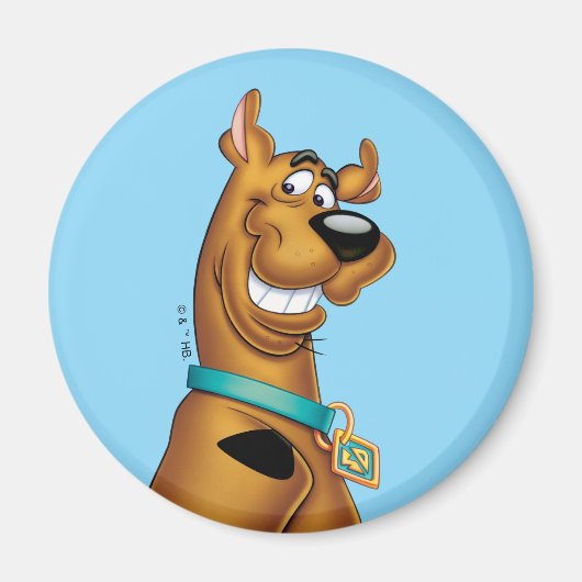 Scooby-Doo Grin Magneet (Voorkant)