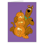 Scooby-Doo | Halloween Jack-O-Lantern (Devant)