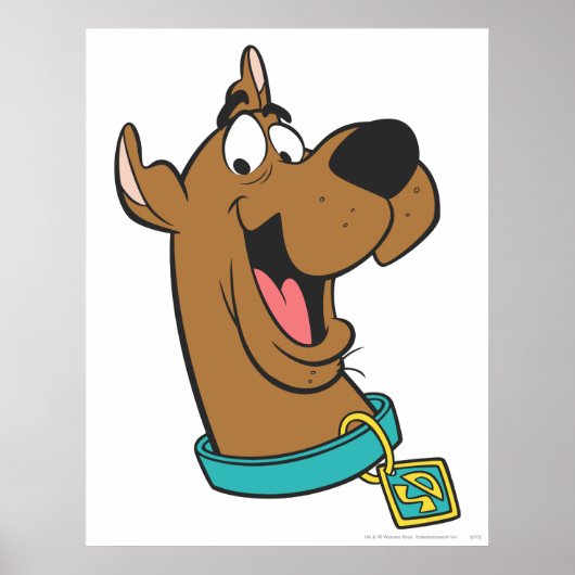 Scooby-Doo Happy Face Poster (Voorkant)