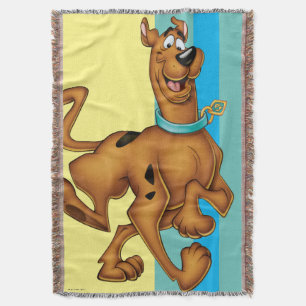 Scooby-Doo Happy Walk Deken