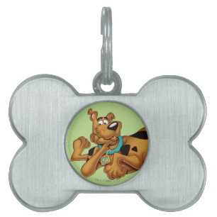 Scooby-Doo Lying Down Huisdieren Naamplaatje