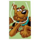 Scooby-Doo Lying Down Klein Cadeauzakje (Achterkant)