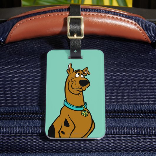Scooby-Doo Puppy Eyes Bagagelabel (Voorkant Insitu 2)