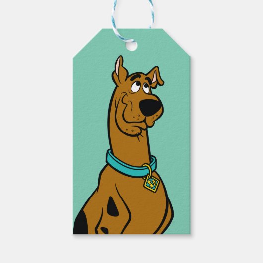 Scooby-Doo Puppy Eyes Cadeaulabel (Voorkant)