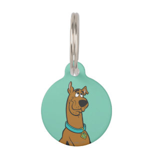 Scooby-Doo Puppy Eyes Huisdierpenning