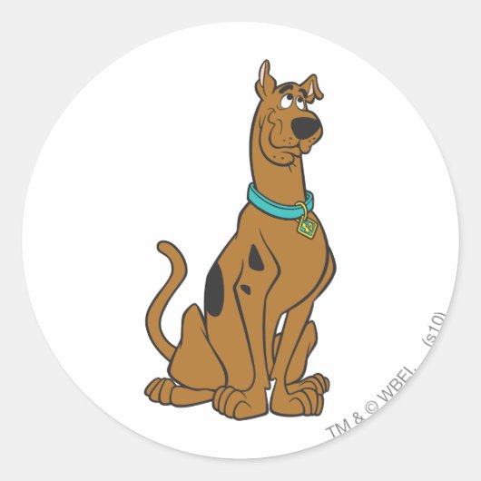 Scooby-Doo Puppy Eyes Ronde Sticker (Voorkant)