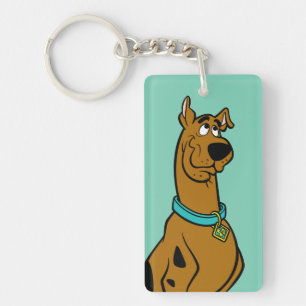 Scooby-Doo Puppy Eyes Sleutelhanger