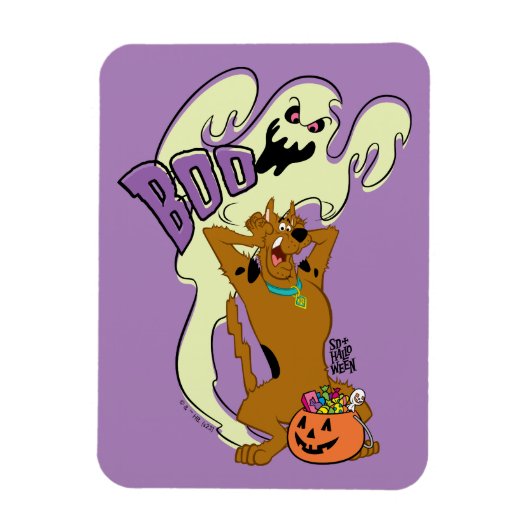 Scooby-Doo | Scooby-Doo Boo Magneet (Verticaal)