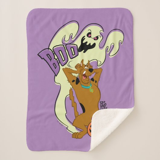 Scooby-Doo | Scooby-Doo Boo Sherpa Deken (Voorkant)