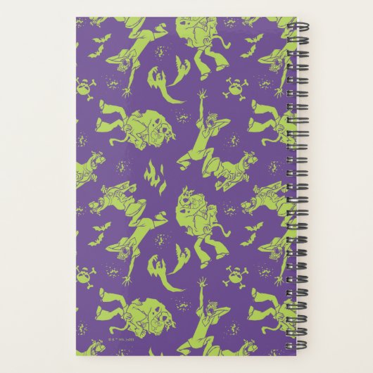 Scooby-Doo | Shaggy & Scooby Running Scared (Dos)