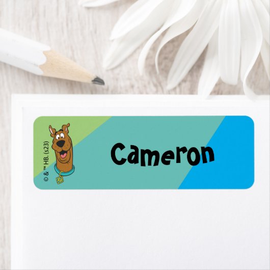 Scooby-Doo Smiling Face Kinderen Etiket (Insitu)