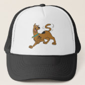 Scooby-Doo Tail Wag Trucker Pet (Voorkant)