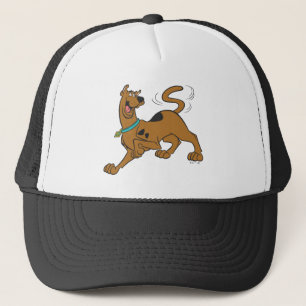 Scooby-Doo Tail Wag Trucker Pet