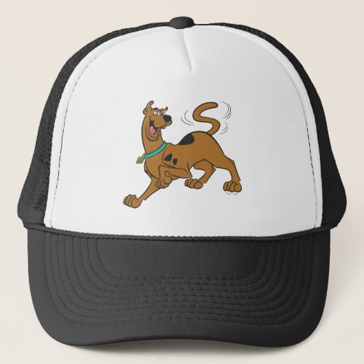 Scooby-Doo Tail Wag Trucker Pet (Voorkant)