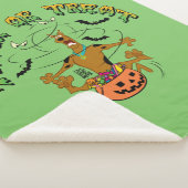 Scooby-Doo | Trick of Treat Sherpa Deken (3/4)