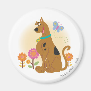 Scooby-doo volgend op vlinder magneet