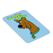 Scooby-Doo Winking Magneet (Rechterzijde)
