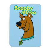 Scooby-Doo Winking Magneet (Verticaal)