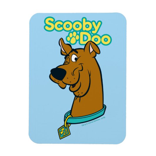 Scooby-Doo Winking Magneet (Verticaal)