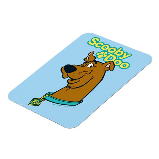 Scooby-Doo Winking Magneet (Linkerzijde)