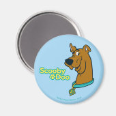 Scooby-Doo Winking Magneet (Voorkant / Achterkant)